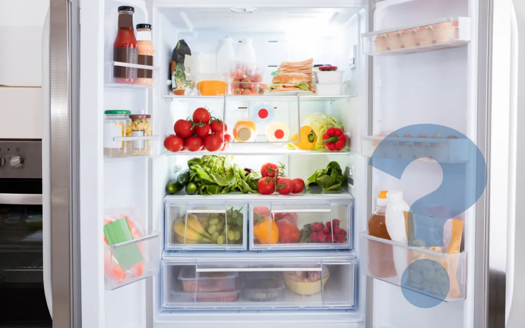 para que serve a geladeira